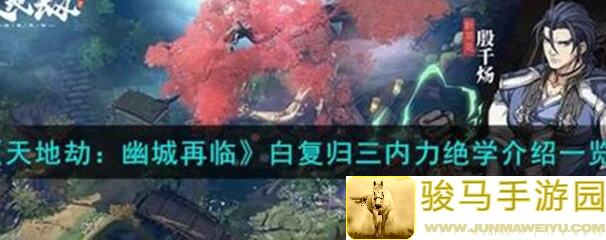 天地劫：幽城再临全解析攻略！三句话让你秒懂逆天战力组合，萌新必看18个赞！