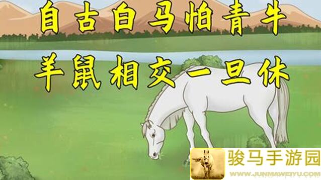 揭秘新版无名江湖：白马青牛组合致胜攻略