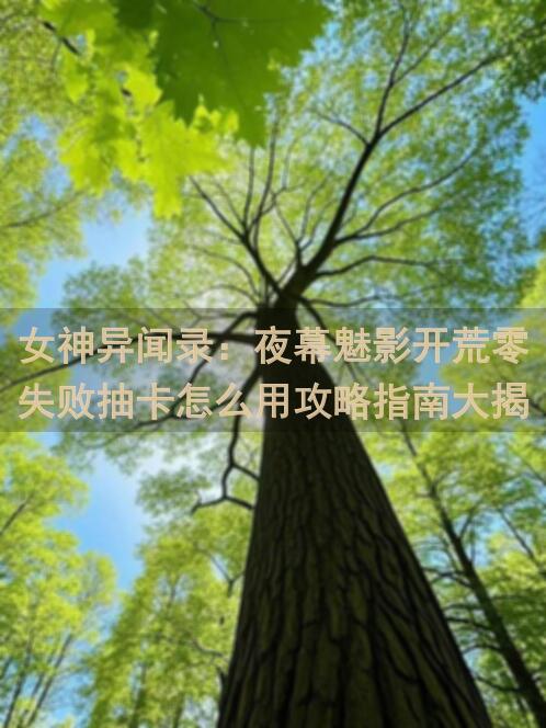 女神异闻录：夜幕魅影开荒零失败抽卡怎么用攻略指南大揭秘