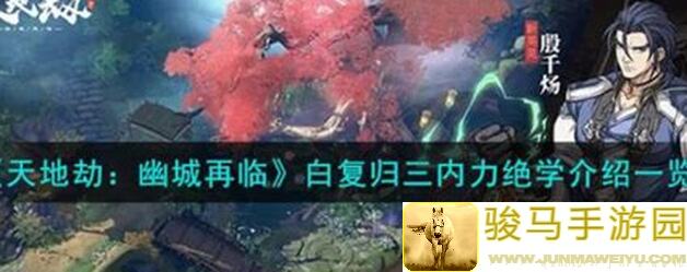 天地劫：幽城再临隋酒技能初评揭秘技能搭配指南