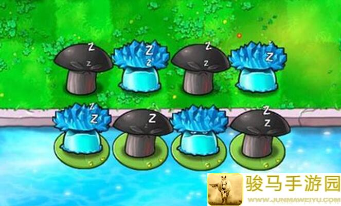 植物大战僵尸2无尽模式最强阵容秒变植物大师你确定不来一看？