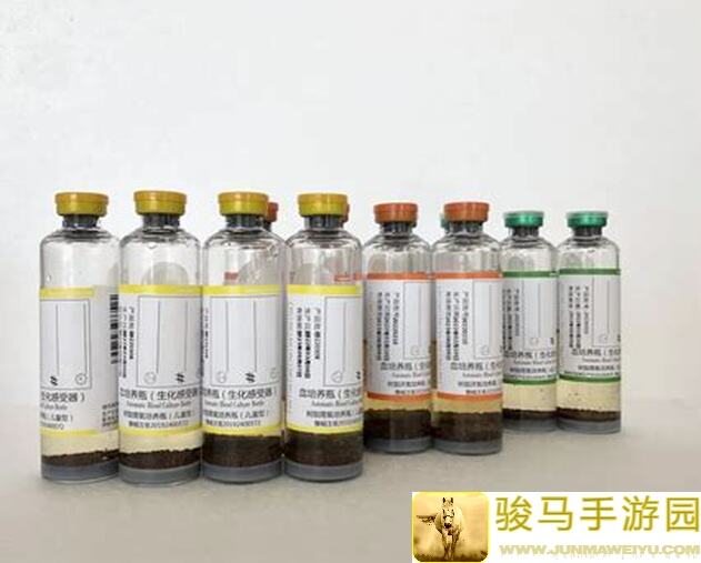 血泪经验！全攻略答疑：怎样全流程培养体修牛妖贯星角