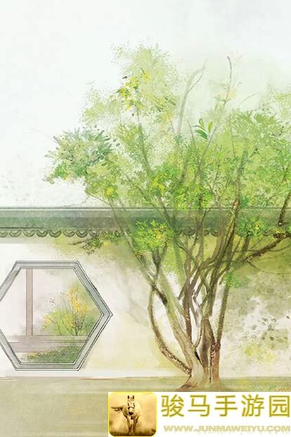 烟雨江湖新区：新手必备攻略大揭秘！
