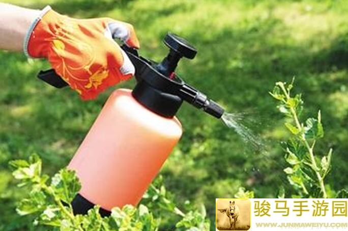 新手怎么用天谴导弹秒杀敌人？小奶柚带你改造最强导弹!