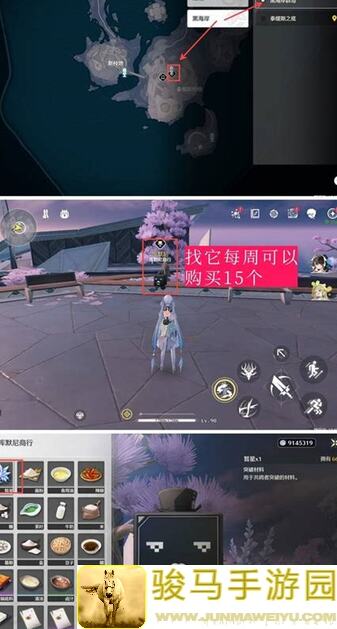 超强攻略！鸣潮守岸人使用技巧全公开，助你轻松通关！