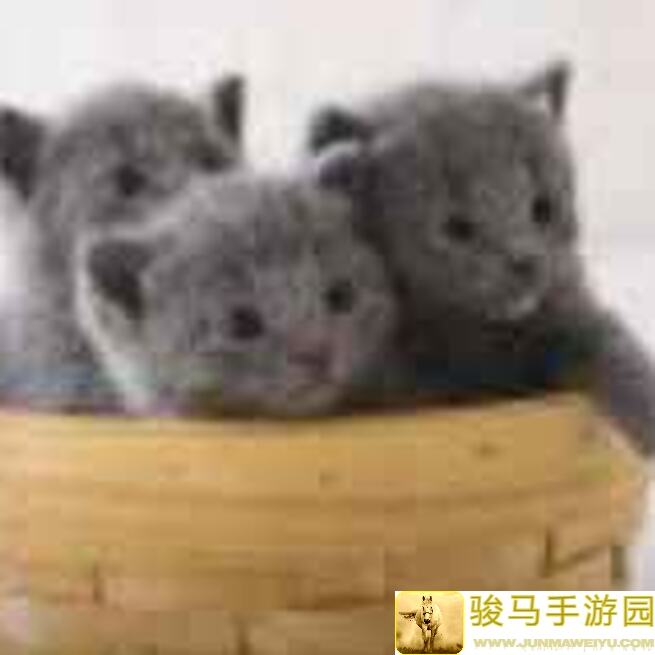 揭秘另一个伊甸：乌库亚吉挑战195小黑攻略，不玩ES公主，不拿AS火剑、AS伊法也能轻松通关！