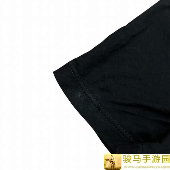 白荆回廊攻略！绝美火雷阵容搭配，轻松公测通关秘诀！
