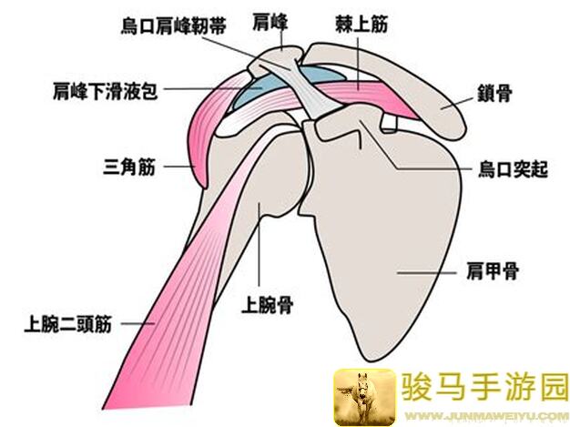 下一站江湖Ⅱ攻略：刷金色秘籍到化境，错过血亏！快来学学这个技巧！