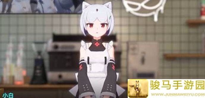 猫之城里的猫球["$"]你知道多少？把它玩转起来还有哪些隐藏技巧？