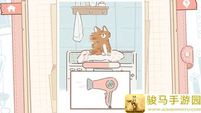 闭眼跟着这份零失败攻略，遇见你的猫!