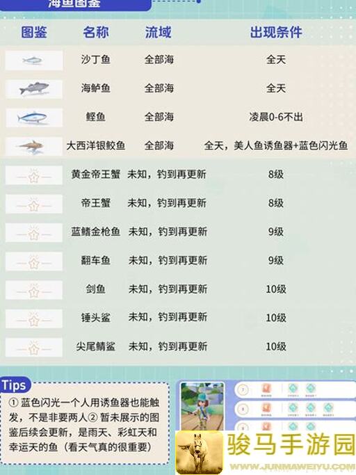 心动小镇升级攻略：爱好+快速赚钱技巧大盘点！