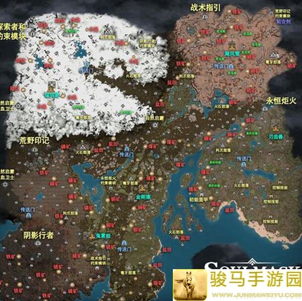 灵魂潮汐世界boss攻略深度解析：专业雷队配置解析，新手也能轻松通关？