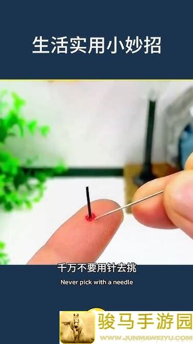 新手必看！活下去新城生存技巧大揭秘，教你秒变活下去生存大师！
