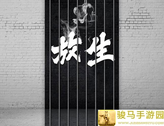 放生模拟器前期高效加速玩法！独家方案助你轻松转生，告别新手烦恼！