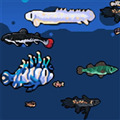 模拟水族馆1