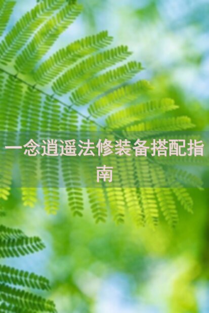 一念逍遥法修装备搭配指南