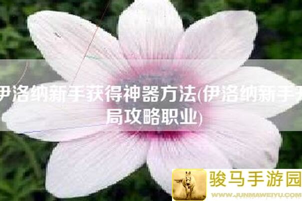 伊洛纳重装法进阶攻略：打造无敌战力！