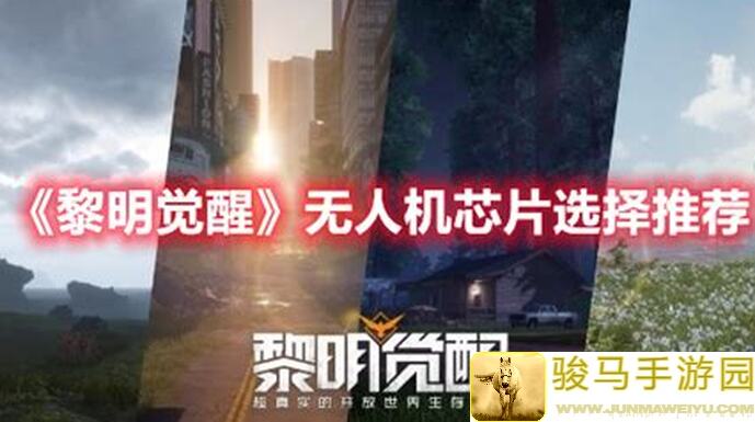 黎明觉醒：生机无人机组装大揭秘！玩家必备部件搭配指南，独家玩法助你秒变飞行高手！