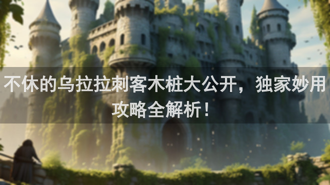 不休的乌拉拉刺客木桩大公开，独家妙用攻略全解析！