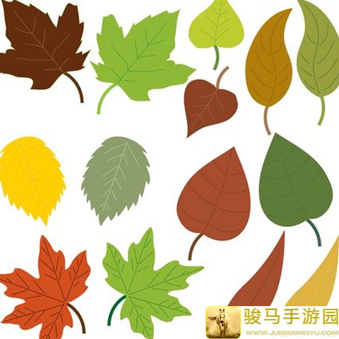 剑与远征无骨法雅儿冬候攻略，魔女3660阵营怎么用？带你轻松突破！